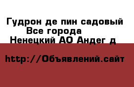 Гудрон де пин садовый - Все города  »    . Ненецкий АО,Андег д.
